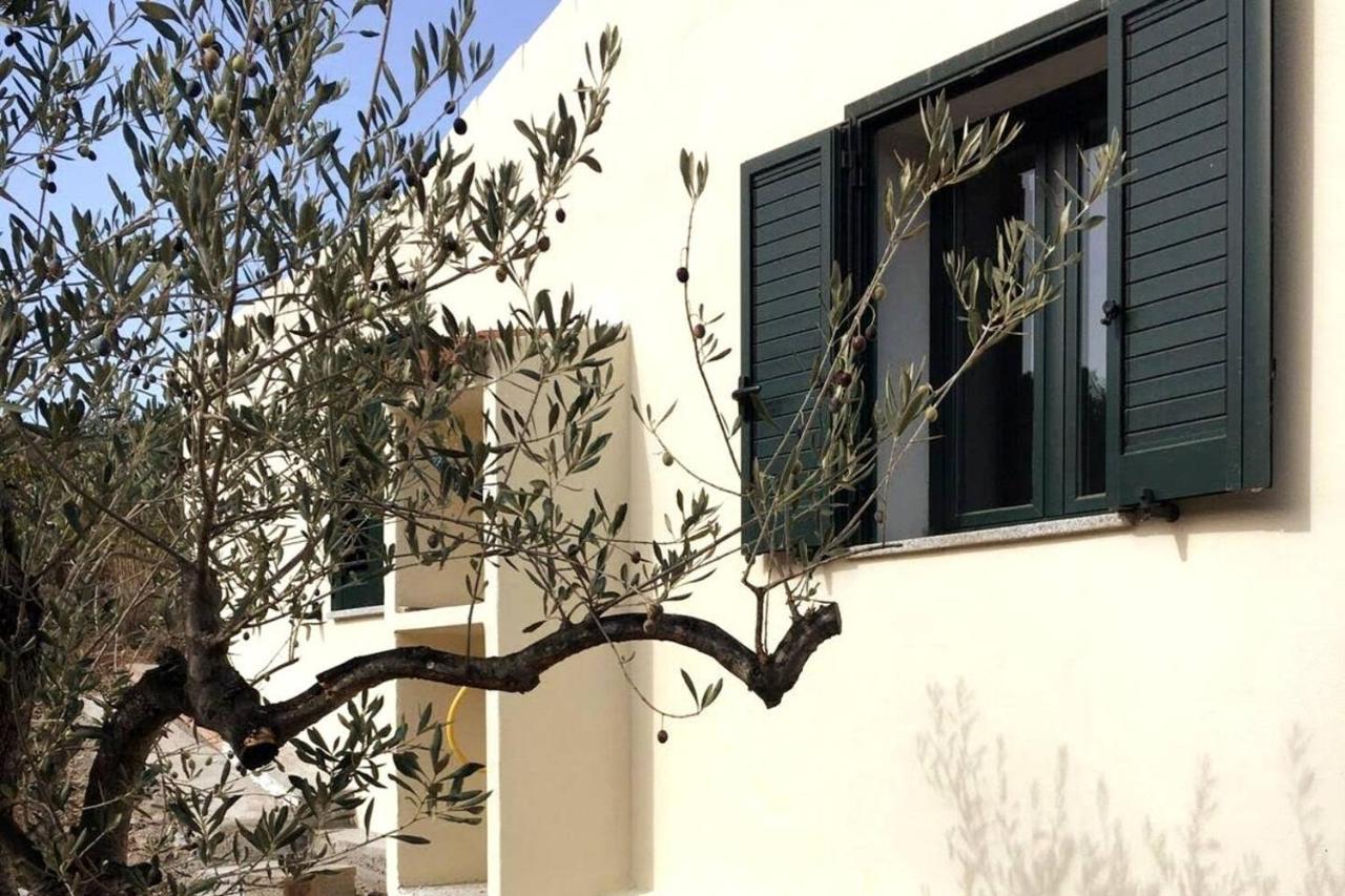 Villa Ulivella Schifoni Екстериор снимка