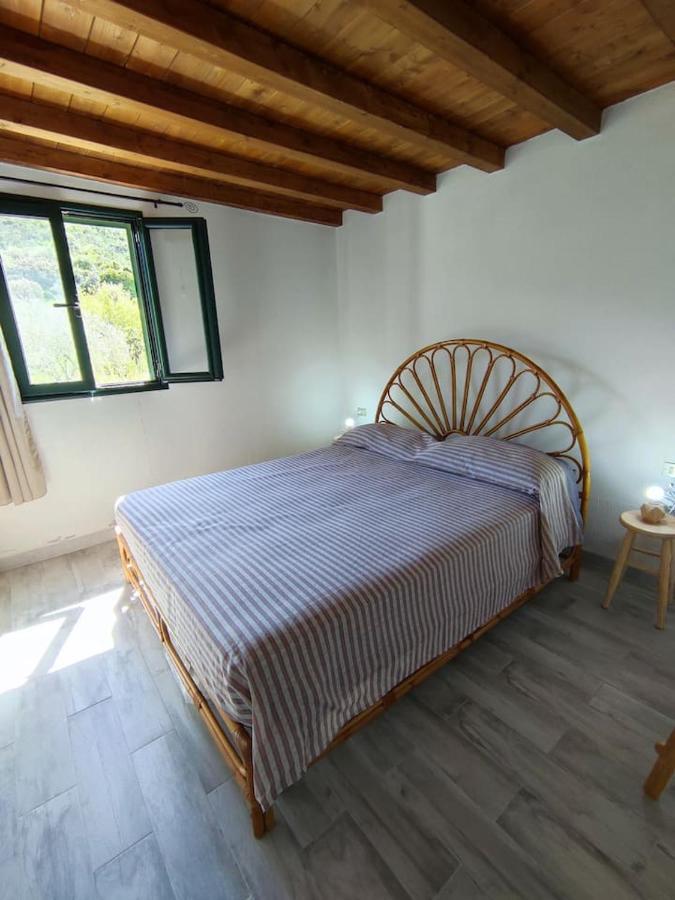 Villa Ulivella Schifoni Екстериор снимка