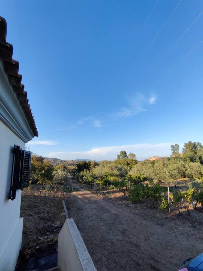 Villa Ulivella Schifoni Екстериор снимка